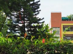 -广州市越秀区育才实验学校