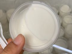 -洪馨椰子