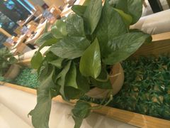 -林妈妈村·日式料理(宝山龙湖天街店)