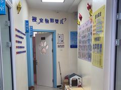 -全心全意连锁动物医院·微创中心·内科急重症·心脏专科(丰管路店)