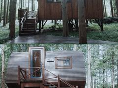 -黄海国家森林公园