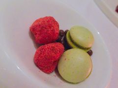 -蝶舍·MAISON PAPILLON