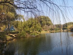 -无锡梅园公园