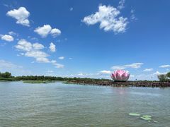 -白洋淀风景区