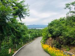 -欢乐松鼠谷