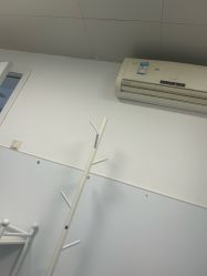 -温州伯思立医院