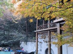 -伯先公园