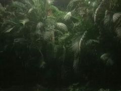 -龙达温泉生态城