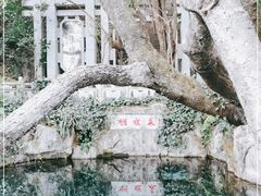 -蝴蝶泉公园