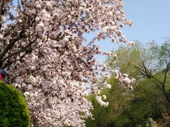 -元大都城垣遗址公园