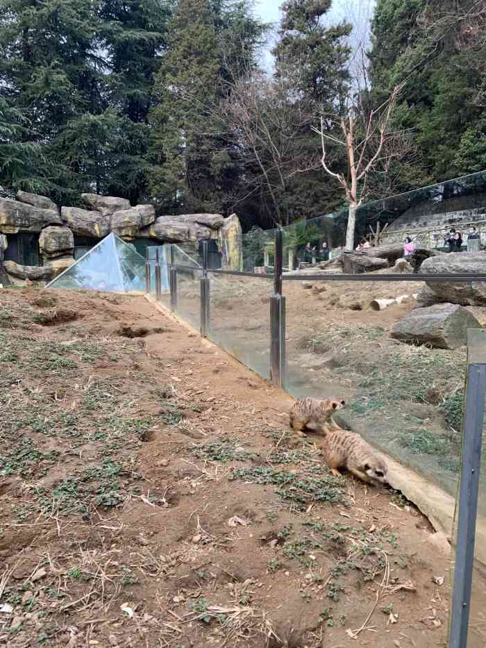 南京市红山森林动物园