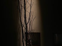 -都氏家DUSJOY(翡翠城店)