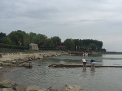 -暨阳湖生态园
