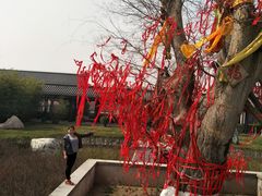 -西安汉城湖景区