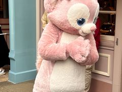 -小镇影院迪士尼小熊Duffy与他的朋友合影地