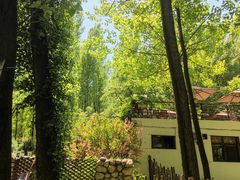 -林间山庄