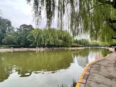 -团结湖公园