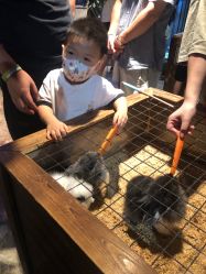 -酷嗒动物文化乐园(cutezoo西溪乐天城店)