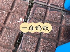 -柳浪游泳场