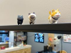 -叁秋咖啡 SANQIU COFFEE(天津河北路店)