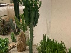 -OUR Bakery(SKP-S店)