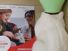 -乐派堂宠物医院·猫友好· 心脏科(东街店)