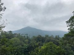 -广州市流溪河国家森林公园
