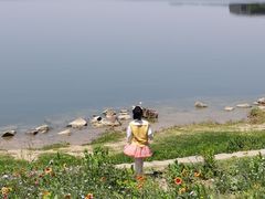 -漕湖湿地公园