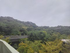 -福道