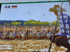 -虎婆冷饮店·海南特色炒冰(三亚湾店)