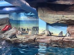 -海合安武汉极地海洋公园