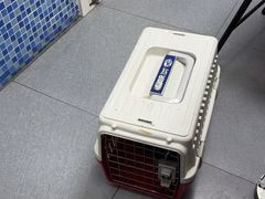 -芭比堂动物医院·心脏科·老年急重症·夜诊·吉雅分院