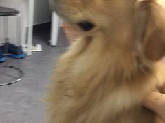 -马家庄面(松岭店)