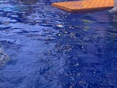 -龙格亲子游泳•水育早教运动中心
