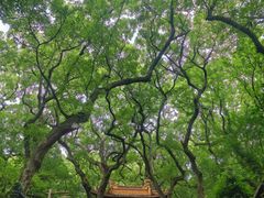 -普陀山风景名胜区-法雨禅寺
