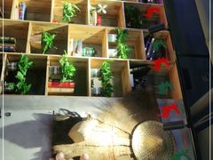 -小小河边鱼(天润城店)