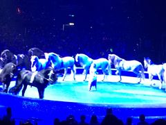 -珠海横琴长隆《卡卡虎奇遇记》