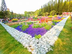 -深圳仙湖植物园