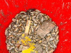 -厦门五通客运码头