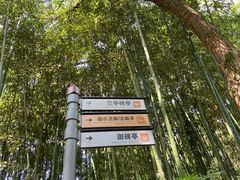 -兰亭风景区