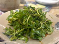 -马帮菜馆·美味野生菌