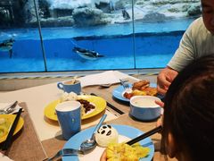 -帝企鹅自助餐厅•儿童岛•真企鹅(长隆企鹅酒店)