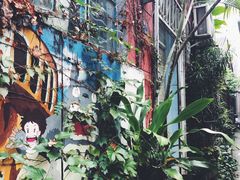 -小洲村
