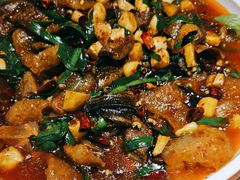 -滇铺子·云南特色菜·第九届野生菌美食节(东风东路c86店)