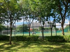 -回龙观体育文化公园