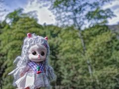 -天目湖山水园