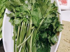 -蒙都43°9羊火锅(平庄店)