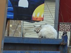 -沕沕水生态风景区