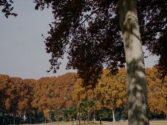-河南省黄河迎宾馆