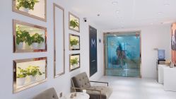 -MIVI野生眉纹绣纹眉